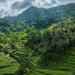 Strategi PARB UNTUK KETAHANAN FISKAL